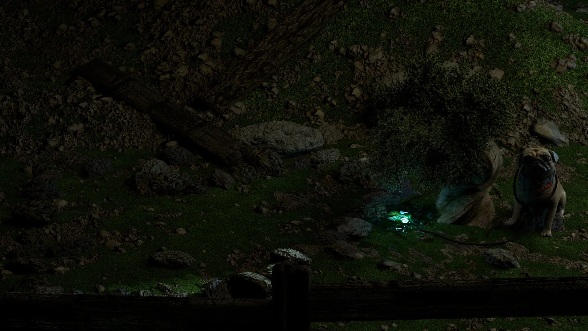 مدل سبزه زار